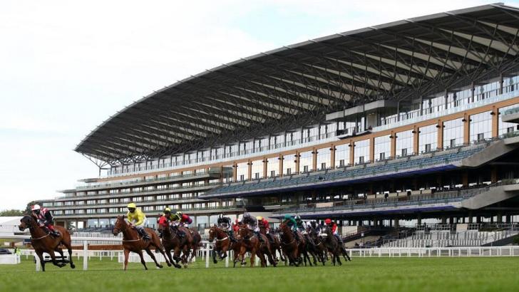 Royal Ascot field with empty stand